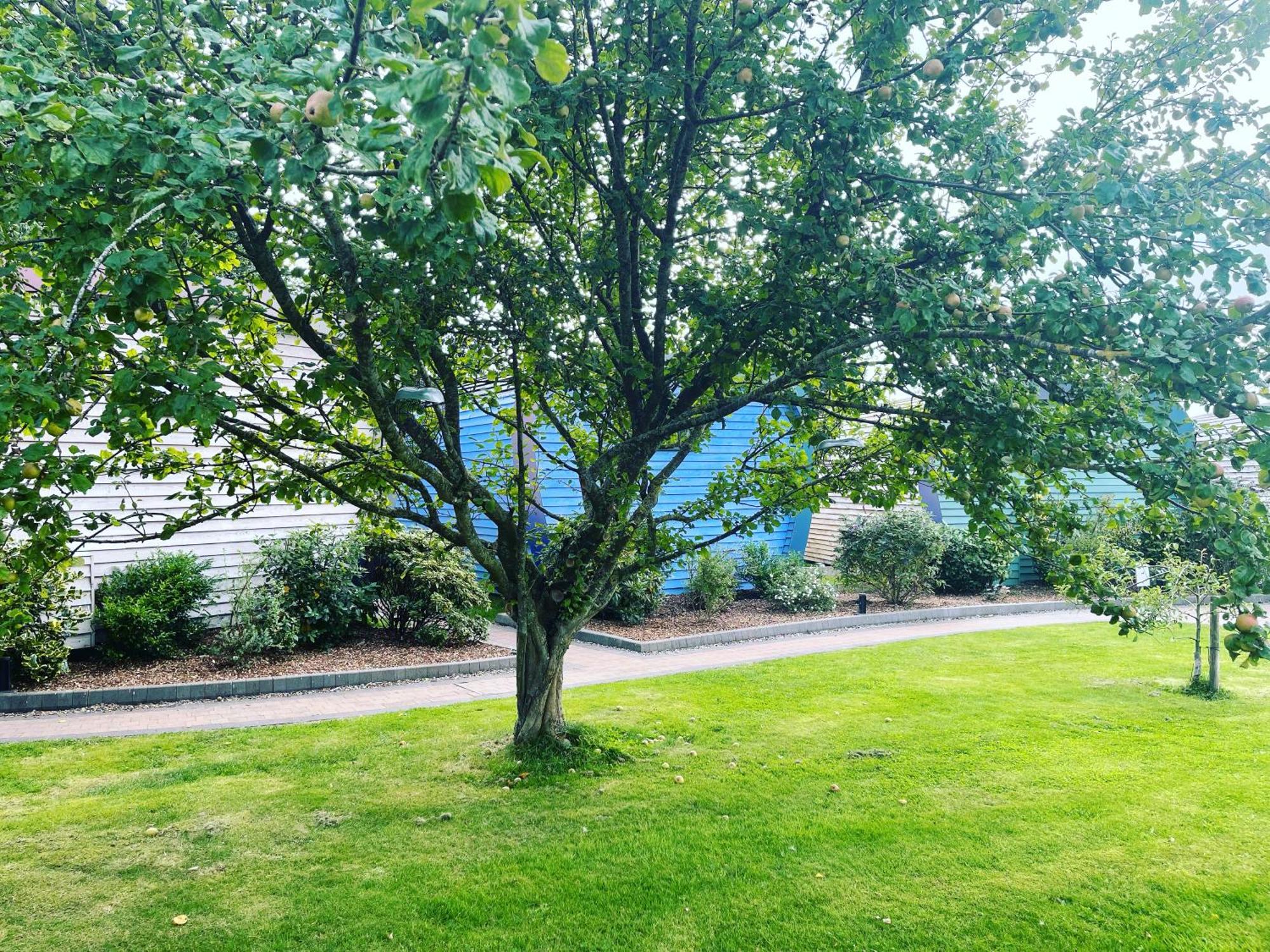 Whitemoss Bed and breakfast 3*